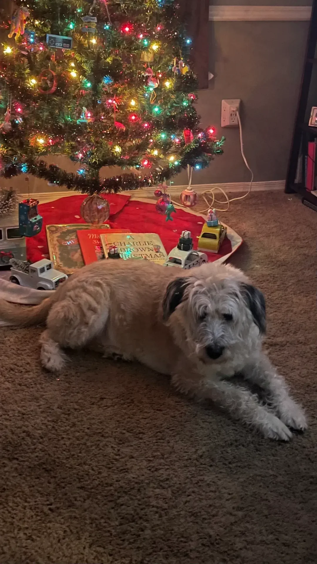 A dog laying on the floor next to christmas tree.